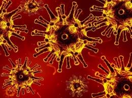 Ученые назвали температуру воздуха, при которой коронавирус безвреден