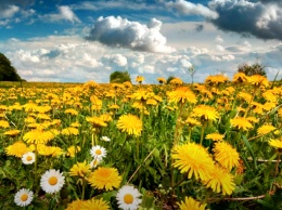 В Украине самое настоящее лето: жаль, что только на один денек! Погода в Украине на 11 мая 2020 года