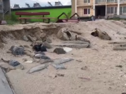 Шторм «натворил дел» на пляжах Кирилловки (ВИДЕО)
