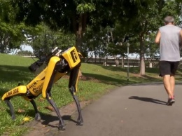 Робот Spot от Boston Dynamics начнет патрулировать парки Сингапура