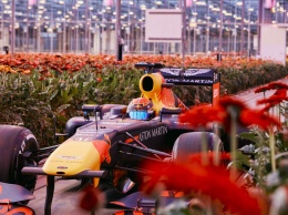 Экскурсия по Нидерландам на болидах Формулы-1 (ВИДЕО)
