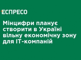 Минцифры планирует создать в Украине свободную экономическую зону для IT-компаний