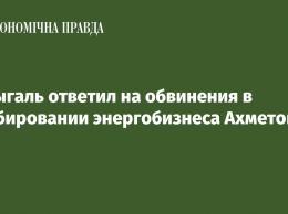 Шмыгаль ответил на обвинения в лоббировании энергобизнеса Ахметова