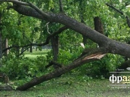 По Чернигову пронесся ураган - его сняли очевидцы