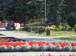 В Никополе хотят закупить цветы для клумб на 1 миллион гривен