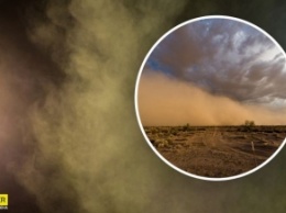 Под Харьковом водитель снял на видео пылевую бурю: обрушилась посреди дороги