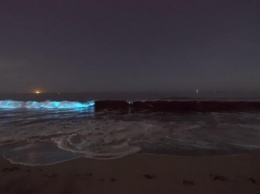 На побережье Калифорнии заметили свечение воды