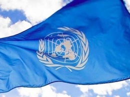 Минспорта объявило о начале приема заявок кандидатов в молодежные делегаты в ООН