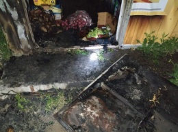 В ночь на 14 мая в Николаеве горели два МАФа