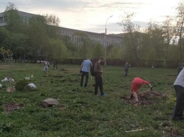 Жители Екатеринбурга высадили деревья, власти обвинили их в экстремизме