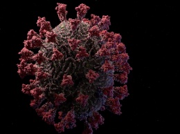 Российская студия создала подробную 3D-модель коронавируса SARS-CoV-2