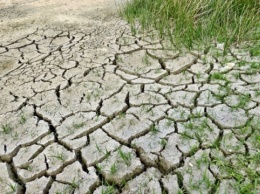Одесский облсовет решил частично компенсировать затраты аграриев из-за засухи