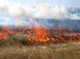 Спасатели бьют тревогу: поджоги привели к масштабным пожарам