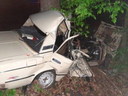 На Киевщине три человека погибли при столкновении легковушки с деревом