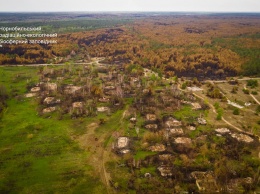 Украинцам показали фото лесов зоны отчуждения под Чернобылем после пожара