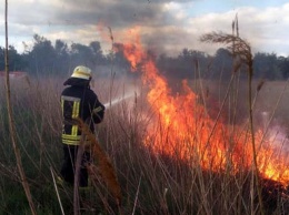 Пожар в экосистеме возле Никополя тушили пять часов: горел сухой камыш и трава