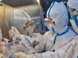 Более 120 стран поддержали проведение расследования причин пандемии