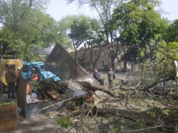 Ветка рухнула на обовощной ларек и порвала провода электротранспорта в центре Одессы