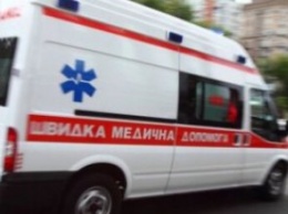 Спускала собаку и разбила стекло автомобиля: в Петриковском районе ночью напали на медиков «скорой»