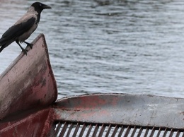 Запорожские водители устроили автомойку в реке (ВИДЕО)