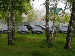 В челябинском лесу нашли десятки новых Toyota Camry