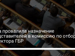 Рада провалила назначение представителей в комиссию по отбору директора ГБР