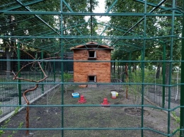 Птичник одесского парка Победы расширили и благоустроили: теперь это настоящий мини-зоопарк