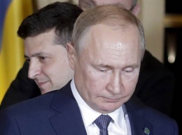 Зеленский звонит Путину почти в четыре раза реже Порошенко
