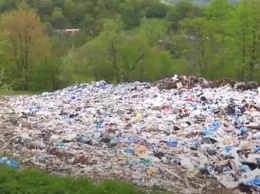 В популярном курорте на Закарпатье обнаружили тонны мусора (видео)