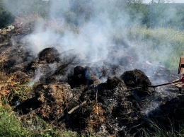 На открытых территориях Николаевской области ликвидировали 4 пожара, вызванных неосторожным обращением с огнем