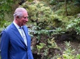 Принц Чарльз призвал уволенных британцев собирать урожай - без сезонных рабочих страна не справляется