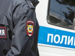 В Совфеде предлагают разрешить полиции принимать заявления онлайн