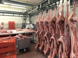 В ФРГ запретят трудовые подряды в мясной промышленности