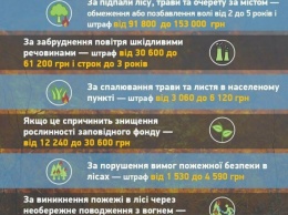 В Украине резко увеличили штрафы за поджог сухой травы: штраф до 153 000 гривен и уголовная ответственность