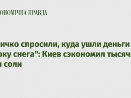 У Кличко спросили, куда ушли деньги "на уборку снега": Киев сэкономил тысячи тонн соли