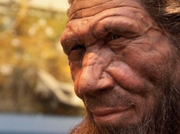 Суперкомпьютер раскрыл новую причину исчезновения неандертальцев