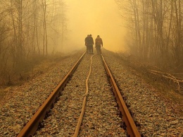 В Кабмине утвердили проект плана мер для урегулирования проблемы лесных пожаров