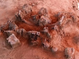 В Мексике обнаружили захоронения людей и мамонтов