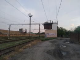 В Мелитополе на здании железной дороги на крыше выросли деревья (фото)