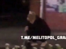 В Мелитополе женщина разорила новую клумбу (видео)