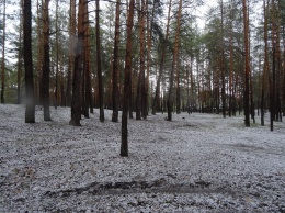 Опубликованы фото града, который укрыл курортный лес в Донецкой области