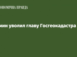 Кабмин уволил главу Госгеокадастра