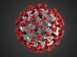 Украинский феномен коронавируса - он атакует... отечественные противовирусные препараты