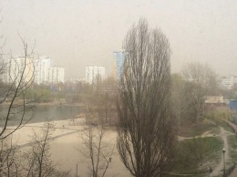 Пыльная буря в Украине бывает один раз на 10 лет, - синоптик
