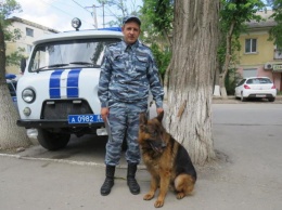 В Крыму полицейский пес Ильхан вычислил грабителя