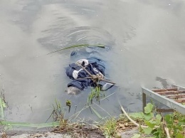 В Харькове в реке нашли связаное тело. Фото 18+