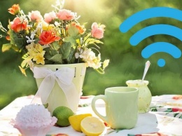 Названы 10 вещей, которые нельзя держать рядом с Wi-Fi роутером