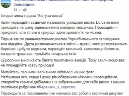 В Чернобыльском заповеднике предупреждают о начале второй волны первоцветов. Фото