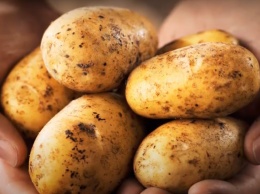 Сплошная польза: медики назвали сразу 10 неожиданных плюсов картофеля