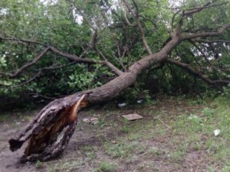 Непогода наделала беды в Луганской области